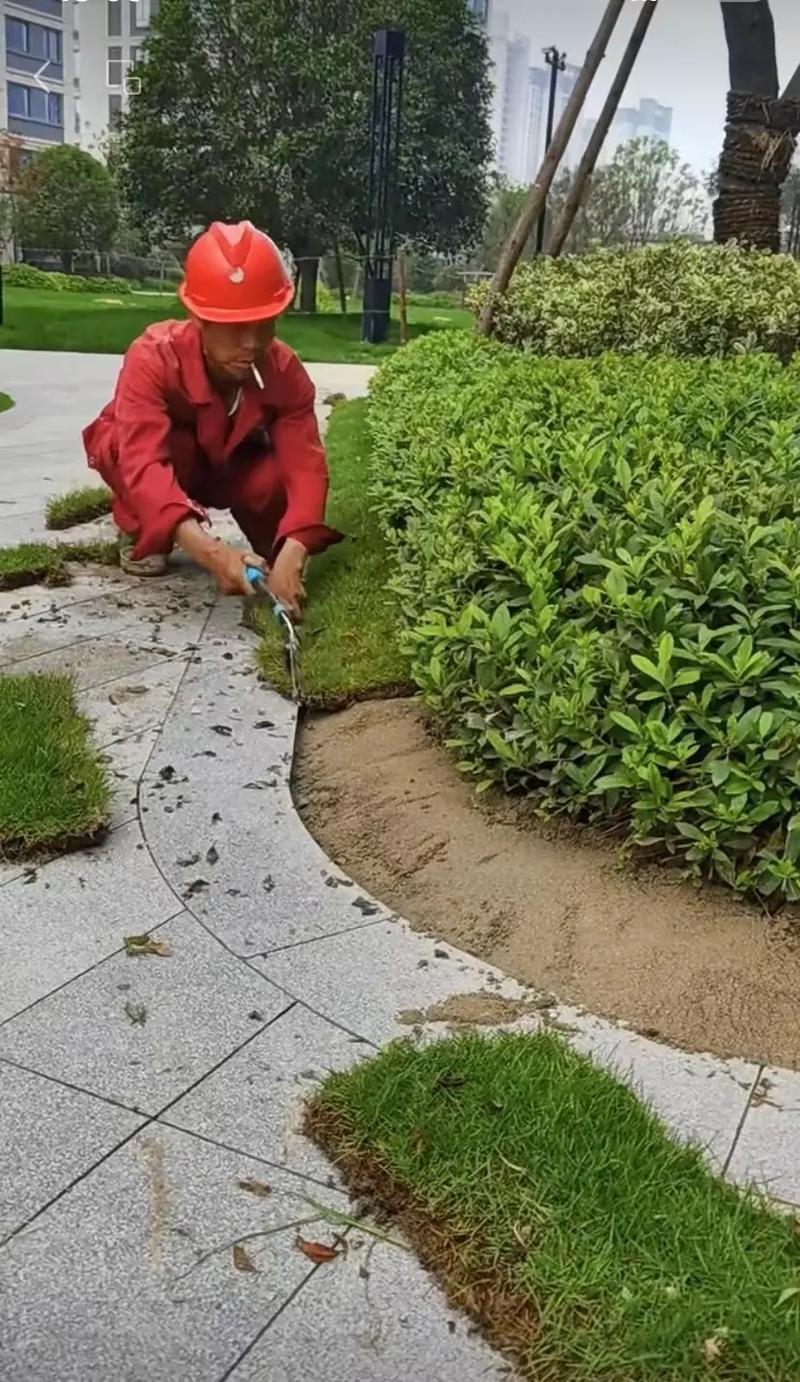 市政園林綠化工程 從精細(xì)化施工到智慧化管理，打造宜居美麗城市