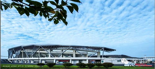 住建局小編和你聊聊 買房時，別忽略城市綠化管理