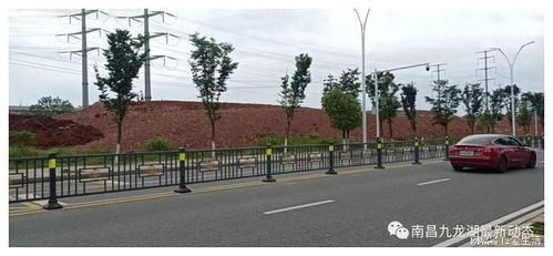 九龍湖大型公園綠化新篇章 巧借坡度塑特色，園林施工展新姿