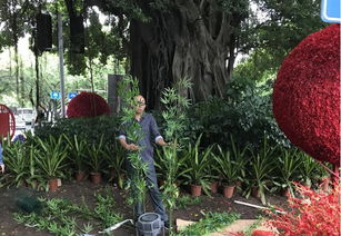 福州市園林局與監(jiān)督站協(xié)同發(fā)力，以優(yōu)質綠化獻禮十九大