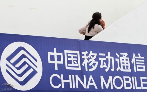 2022年 中國移動及員工在信息咨詢服務(wù)領(lǐng)域的機(jī)遇與展望